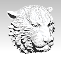 Angry Tiger - Thumbnail 7