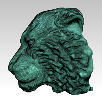 Angry Tiger - Thumbnail 9