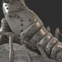 Lobster Ready for 3D Print - Thumbnail 10