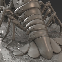 Lobster Ready for 3D Print - Thumbnail 11
