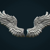 Wings Relief II - Thumbnail 3