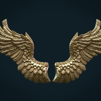 Wings Relief II - Thumbnail 8
