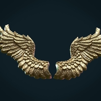 Wings Relief II - Thumbnail 9