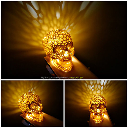 Skull lamps - Voronoi Style 3D Print 27685