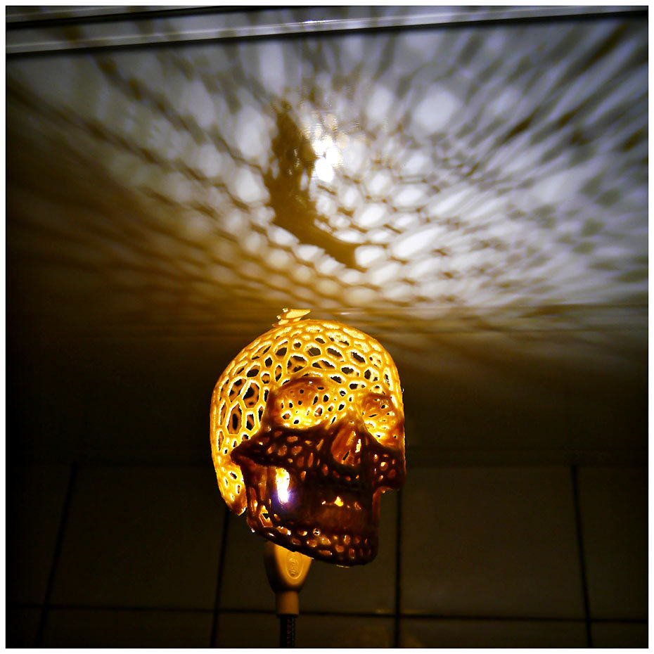 3d Printed Skull Lamps Voronoi Style By Mingshiuan Pinshape