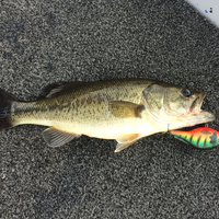 CrankBait Fishing Lure - Thumbnail 2