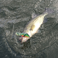 CrankBait Fishing Lure - Thumbnail 3