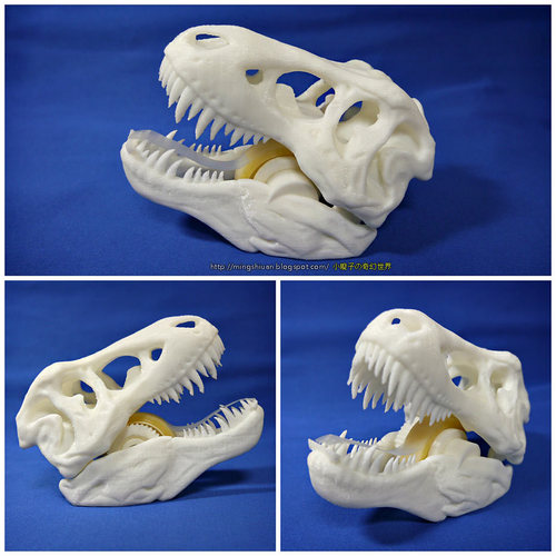 T-Rex Tape Dispenser 3D Print 27727