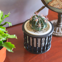 Spiral Planter - Thumbnail 1