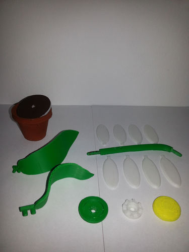 FlowerKit-Daisy 3D Print 27742