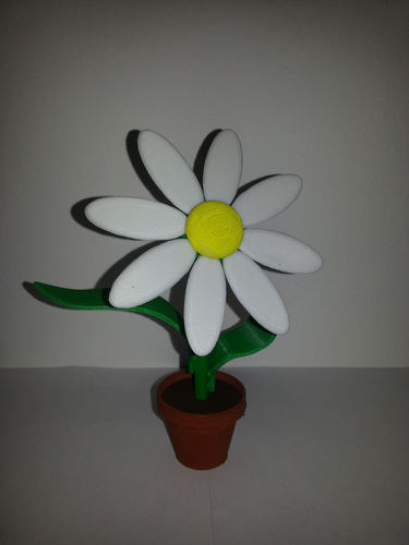 FlowerKit-Daisy 3D Print 27743