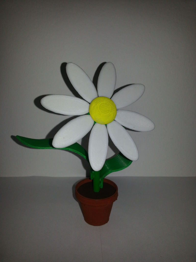 FlowerKit-Daisy