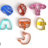 MOLDES PREMIUM MAS DE 150 ARCHIVOS PARA IMPRIMIR MEGA PACK 2 - Thumbnail 17