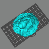 lion head - Thumbnail 2