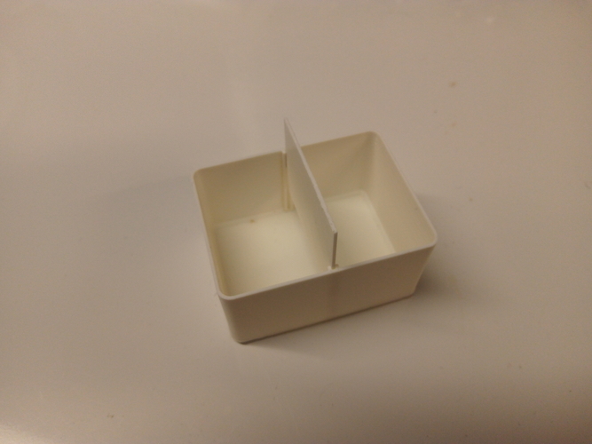 Container for Small Parts (with divider) 3D Print 278020
