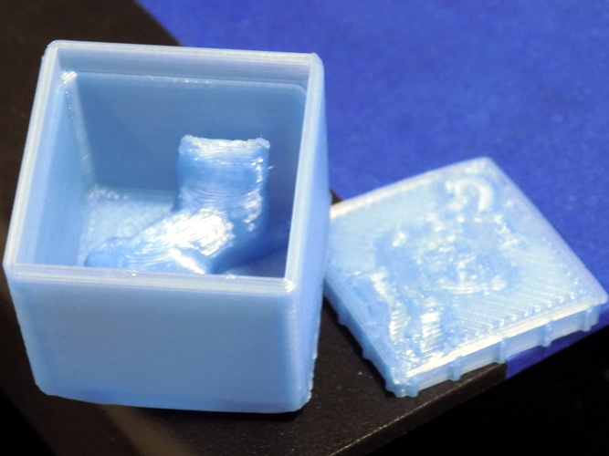 Schrödinger's Cat Cube 3D Print 27823