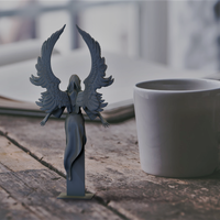 Shadow - Thumbnail 2