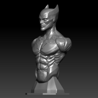 Cyber Batman - Thumbnail 10