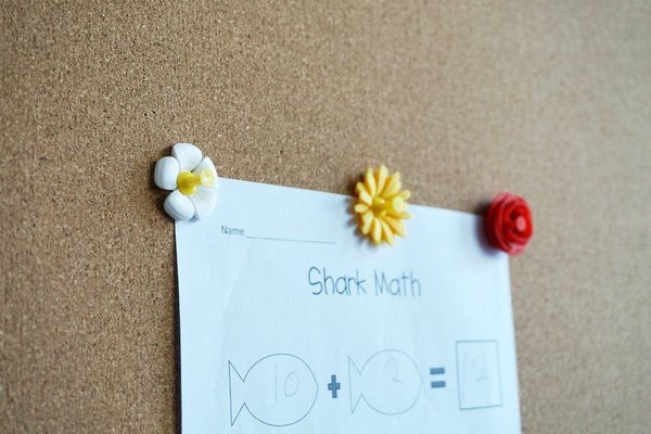 Flower Pushpins
