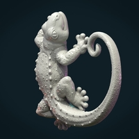 Gecko - Thumbnail 5
