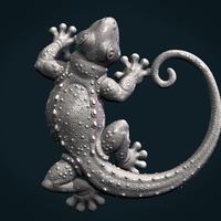 Gecko - Thumbnail 6