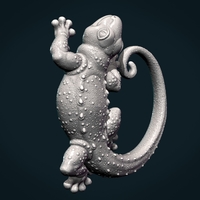 Gecko - Thumbnail 8