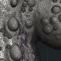 Gecko - Thumbnail 16