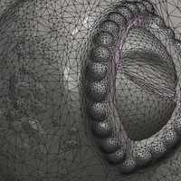 Gecko - Thumbnail 17