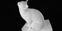 Image 28052