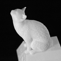 Cat on a Ring Box - Thumbnail 3