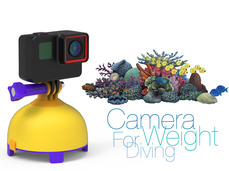 Camera Weight for Diving 