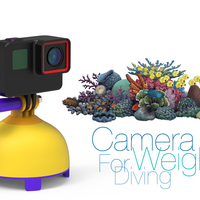 Camera Weight for Diving  - Thumbnail 1