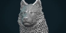 Image 281438