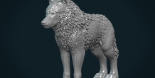 Image 281439
