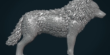 Image 281440