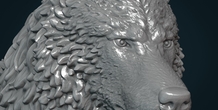 Image 281442