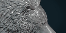 Image 281444
