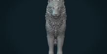 Image 281446