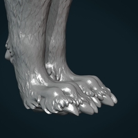 Wolf IV - Thumbnail 16