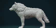 Image 281452