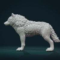 Wolf IV - Thumbnail 18