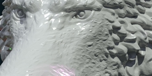 Image 281454