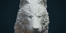 Image 281455