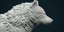 Image 281456