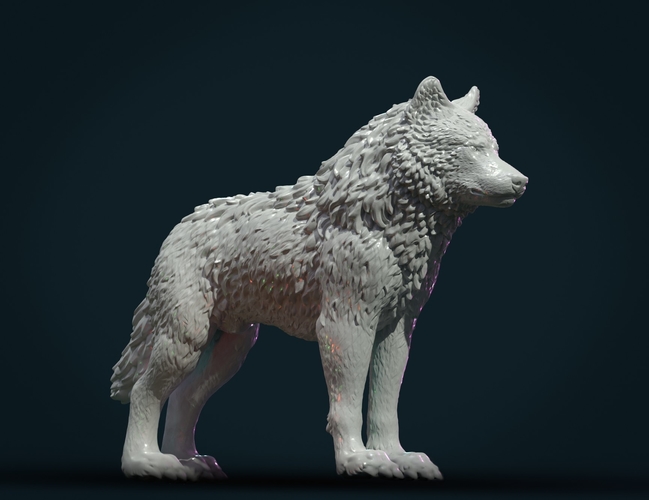 Wolf IV 3D Print 281457
