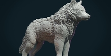 Image 281457