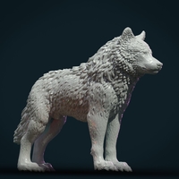 Wolf IV - Thumbnail 23