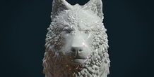 Image 281458