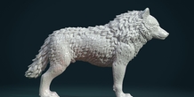 Image 281459