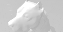 Image 282051